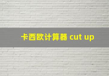 卡西欧计算器 cut up